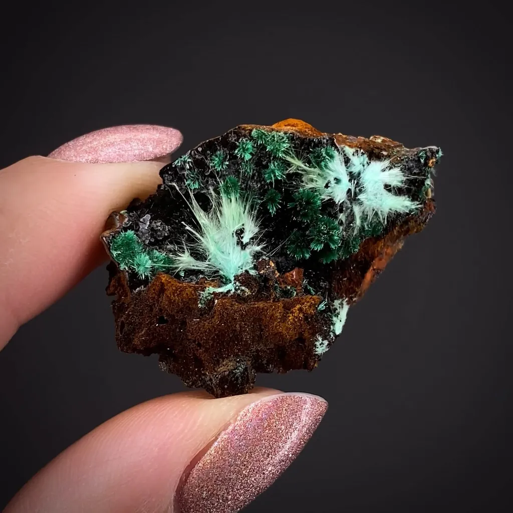 Agardite-(Nd), Brochantite, Malachite - image 2