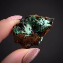 Agardite-(Nd), Brochantite, Malachite - image 2
