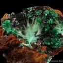 Agardite-(Nd), Brochantite, Malachite - image 1