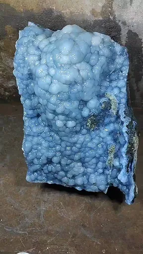 specimen video