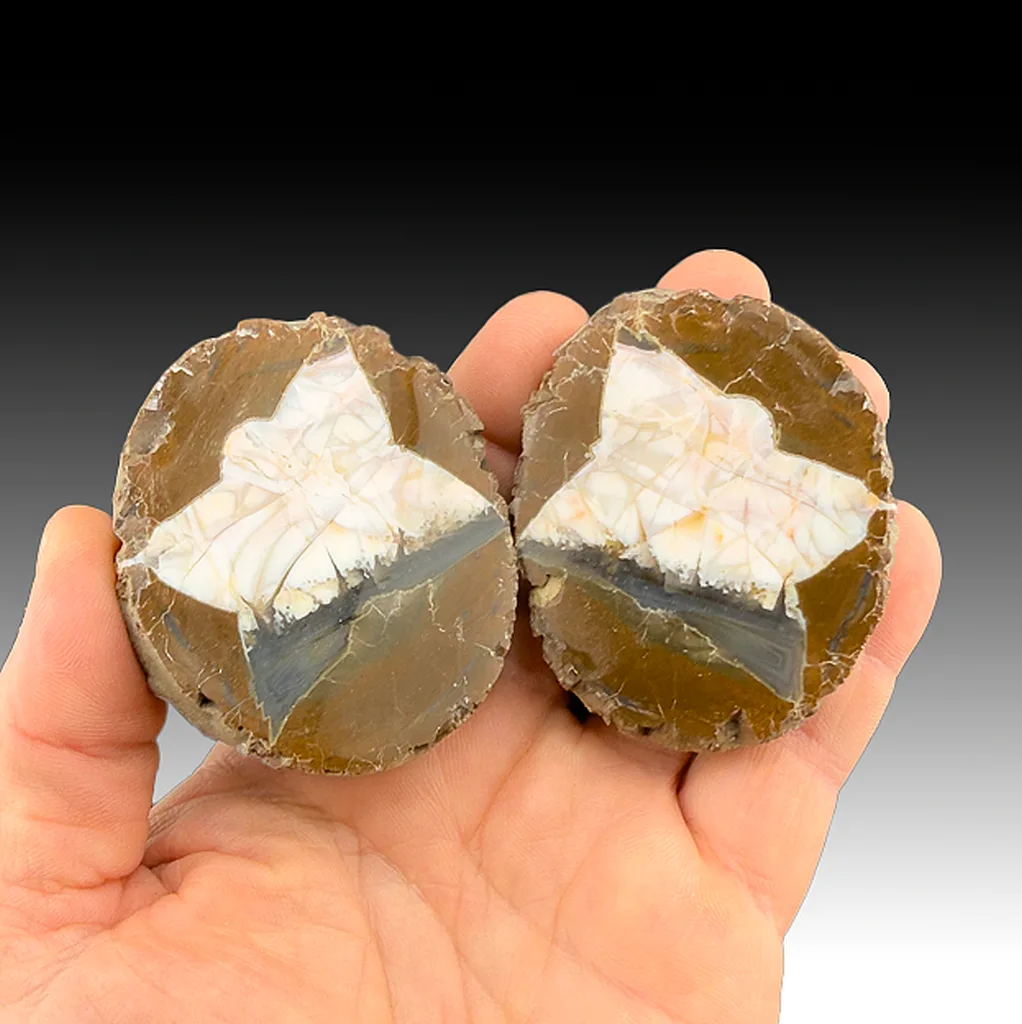Agate from Blue Bed #1, Oregon, USA - image 1