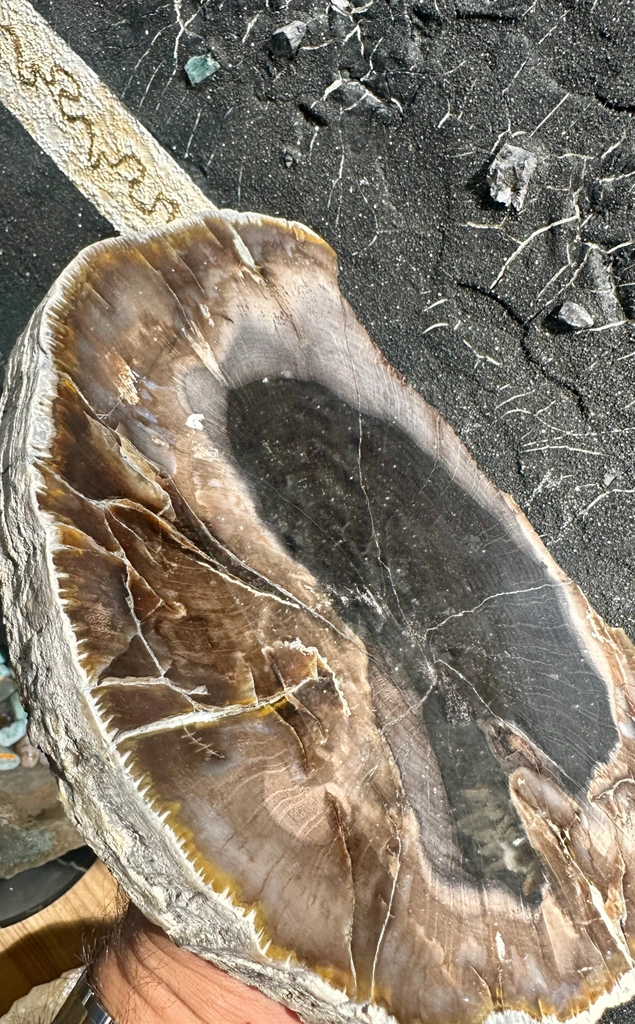 Agate from Bulgaria, Kardzhali Province - image 6