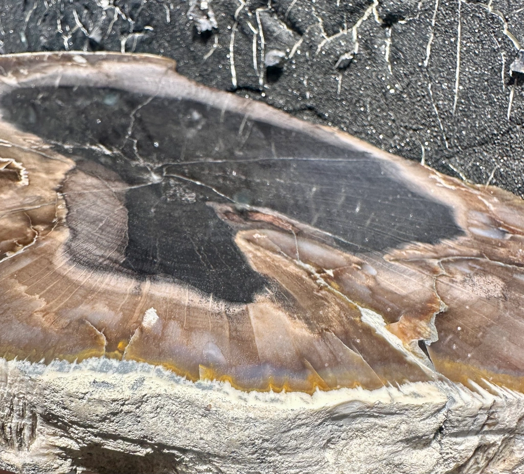 Agate from Bulgaria, Kardzhali Province - image 5