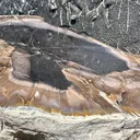 Agate from Bulgaria, Kardzhali Province - image 5