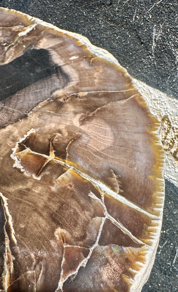 Agate from Bulgaria, Kardzhali Province - image 4