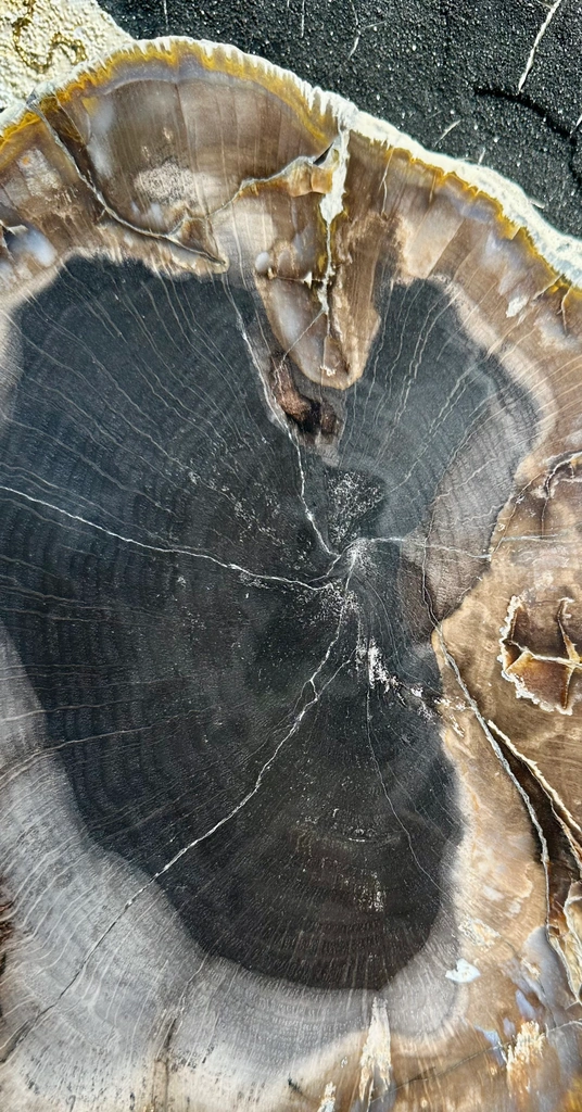 Agate from Bulgaria, Kardzhali Province - image 3