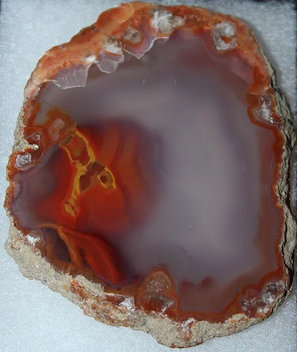 Agate from El Apache Agate, Chihuahua, Mexico image