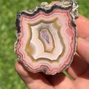 specimen video