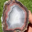 specimen video