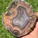 specimen video