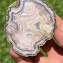 specimen video