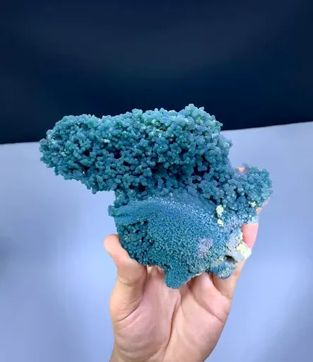 specimen video