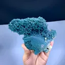 specimen video