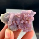 specimen video