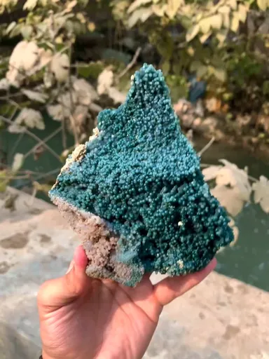 specimen video