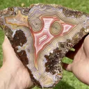 specimen video
