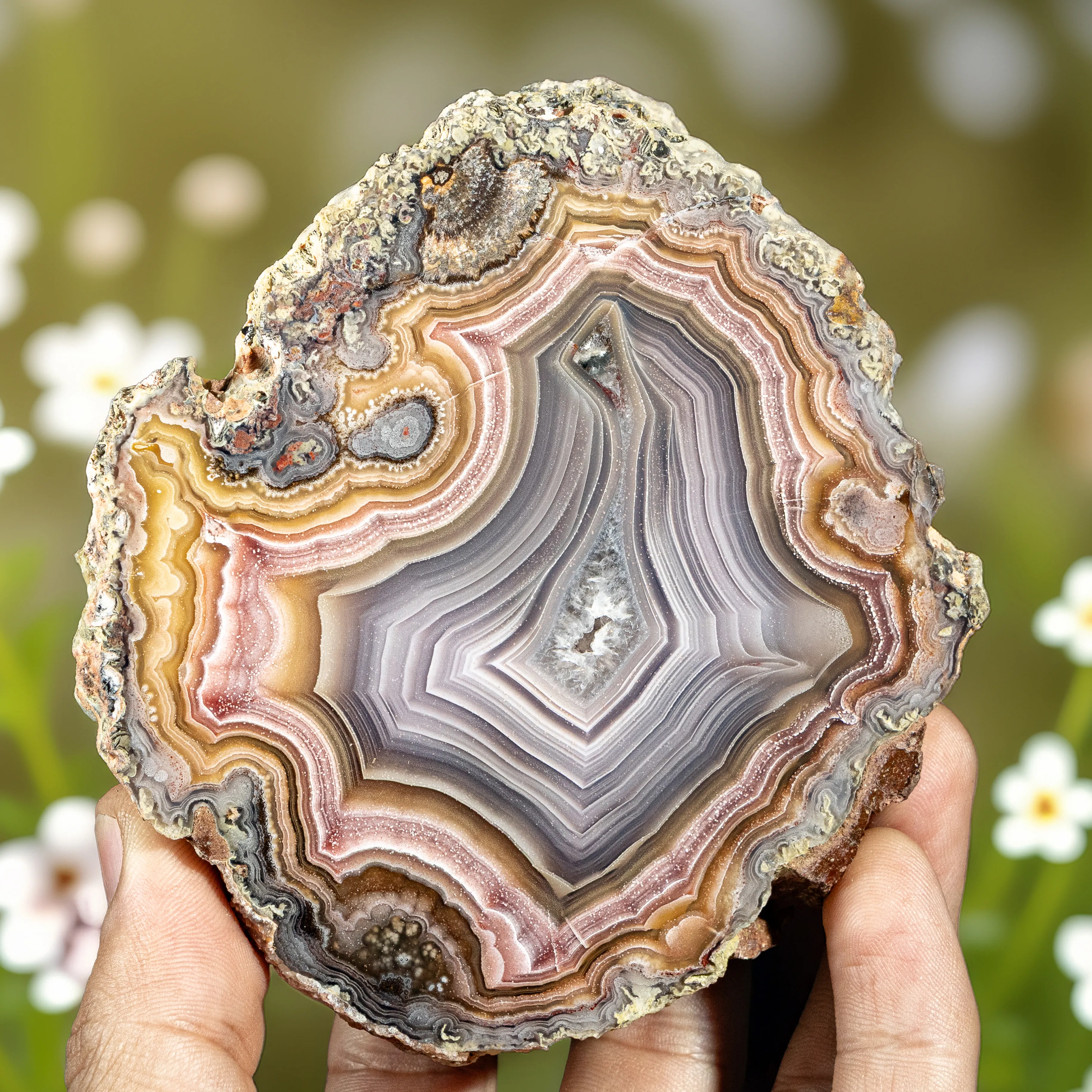 Agate from Mexico, Chihuahua, Estacion Ojo Laguna - image 2