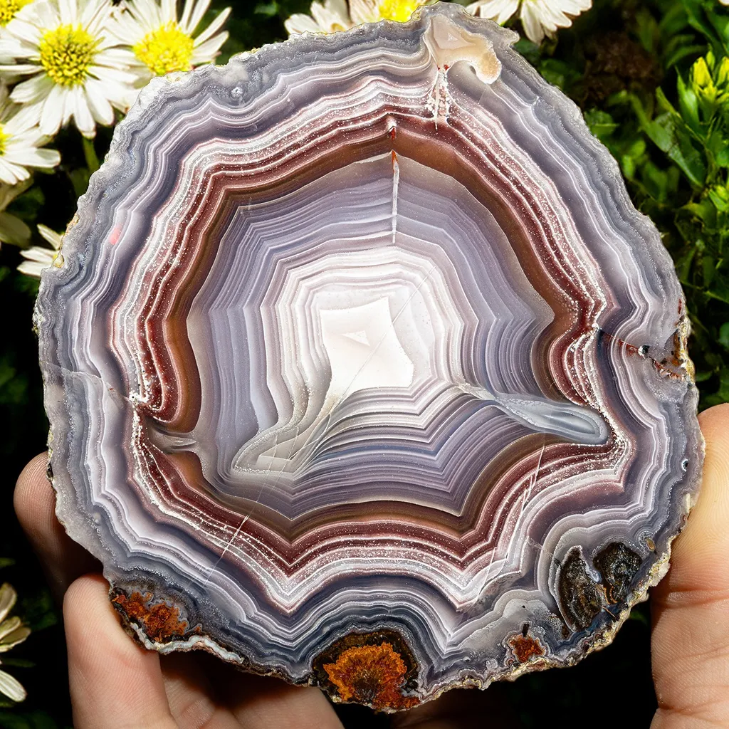 Agate from Mexico, Chihuahua, Estacion Ojo Laguna - image 4