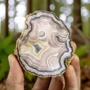 Agate from Mexico, Chihuahua, Estacion Ojo Laguna - image 3