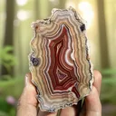 Agate from Mexico, Chihuahua, Estacion Ojo Laguna - image 2