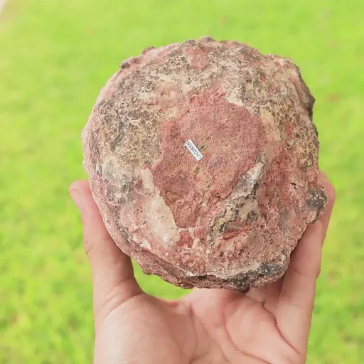 specimen video