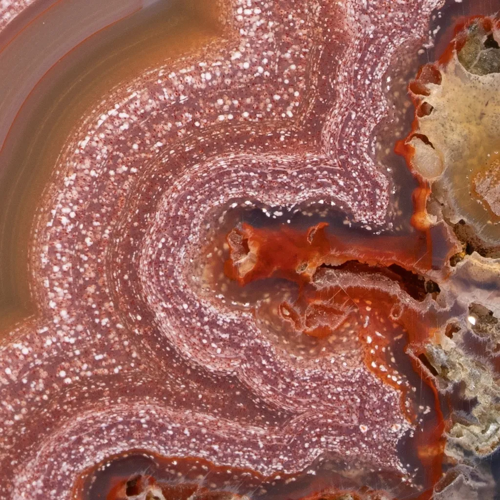 Agate from Mexico, Chihuahua, Estacion Ojo Laguna - image 4