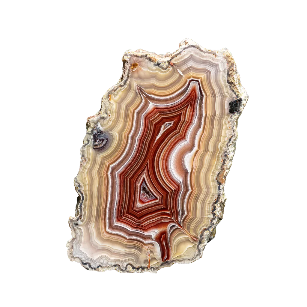 Agate from Mexico, Chihuahua, Estacion Ojo Laguna - image 5