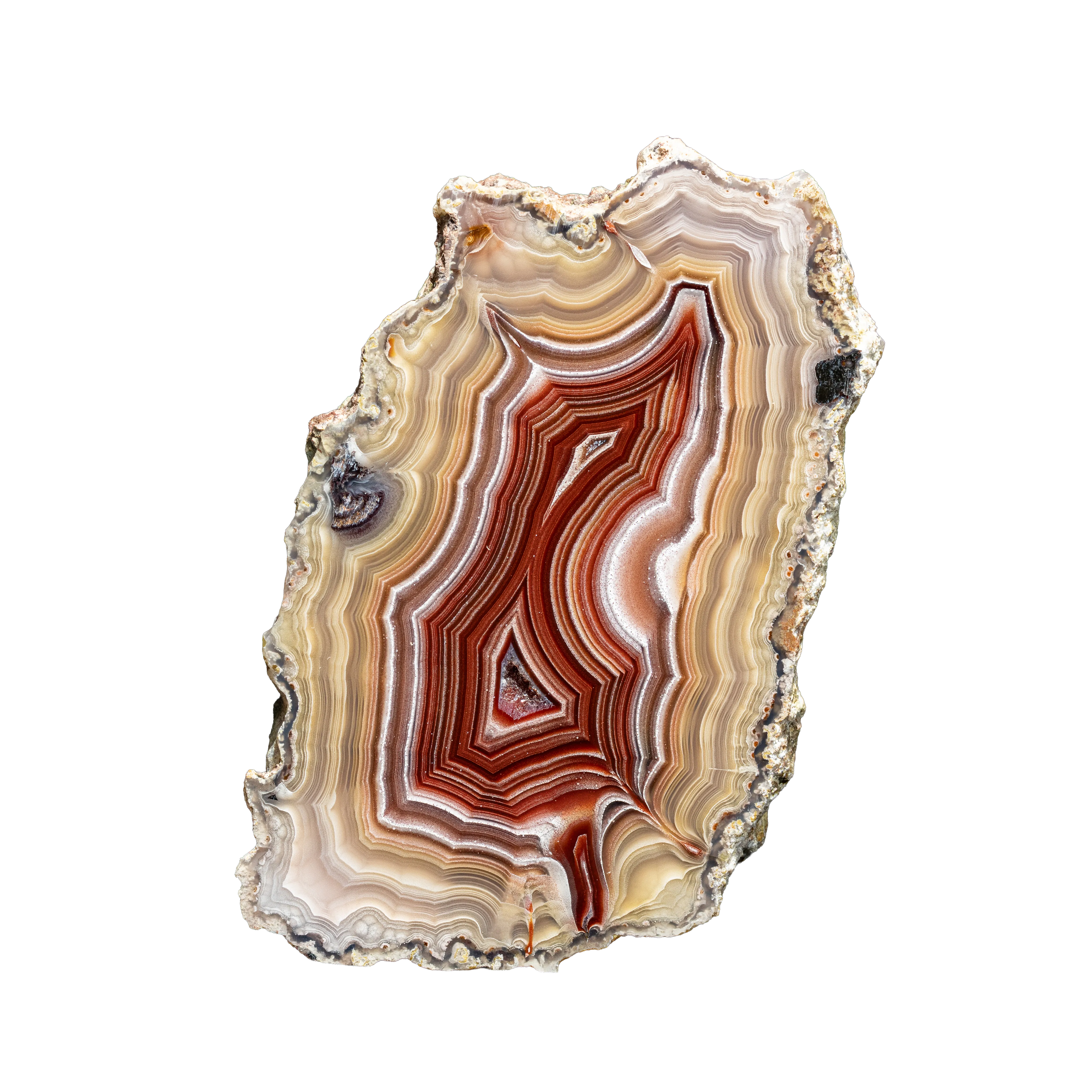 Agate from Mexico, Chihuahua, Estacion Ojo Laguna - image 5
