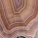 Agate from Mexico, Chihuahua, Estacion Ojo Laguna - image 4