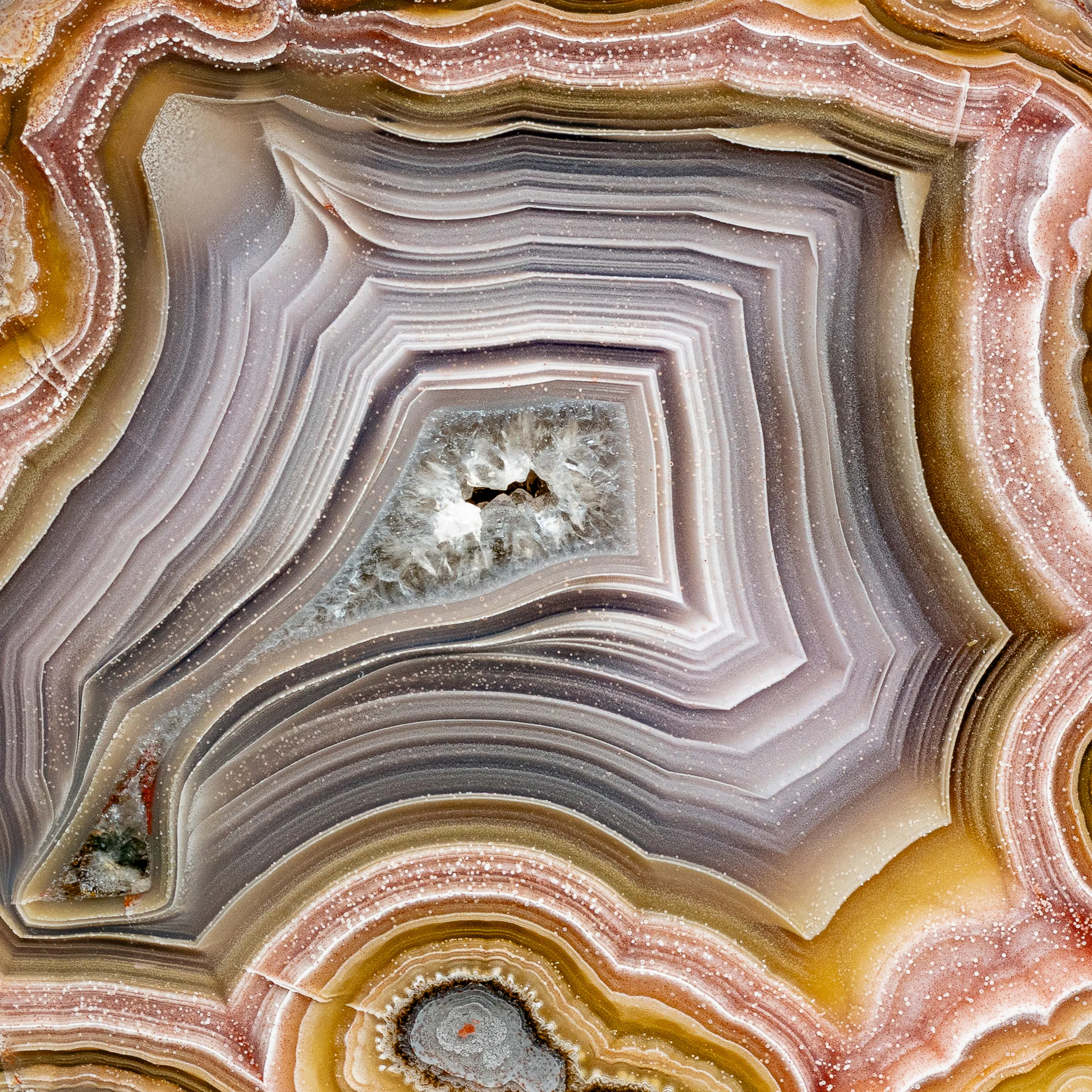 Agate from Mexico, Chihuahua, Estacion Ojo Laguna - image 4
