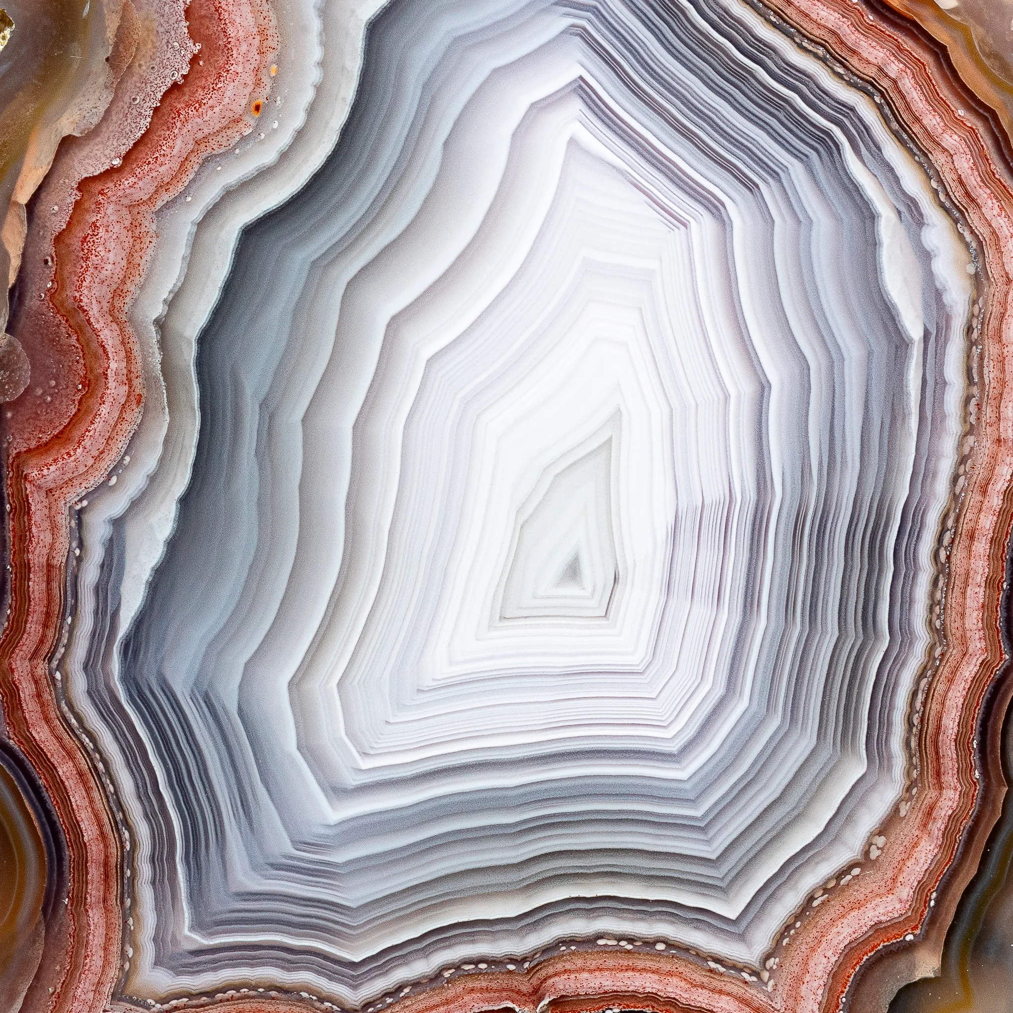 Agate from Mexico, Chihuahua, Estacion Ojo Laguna - image 3