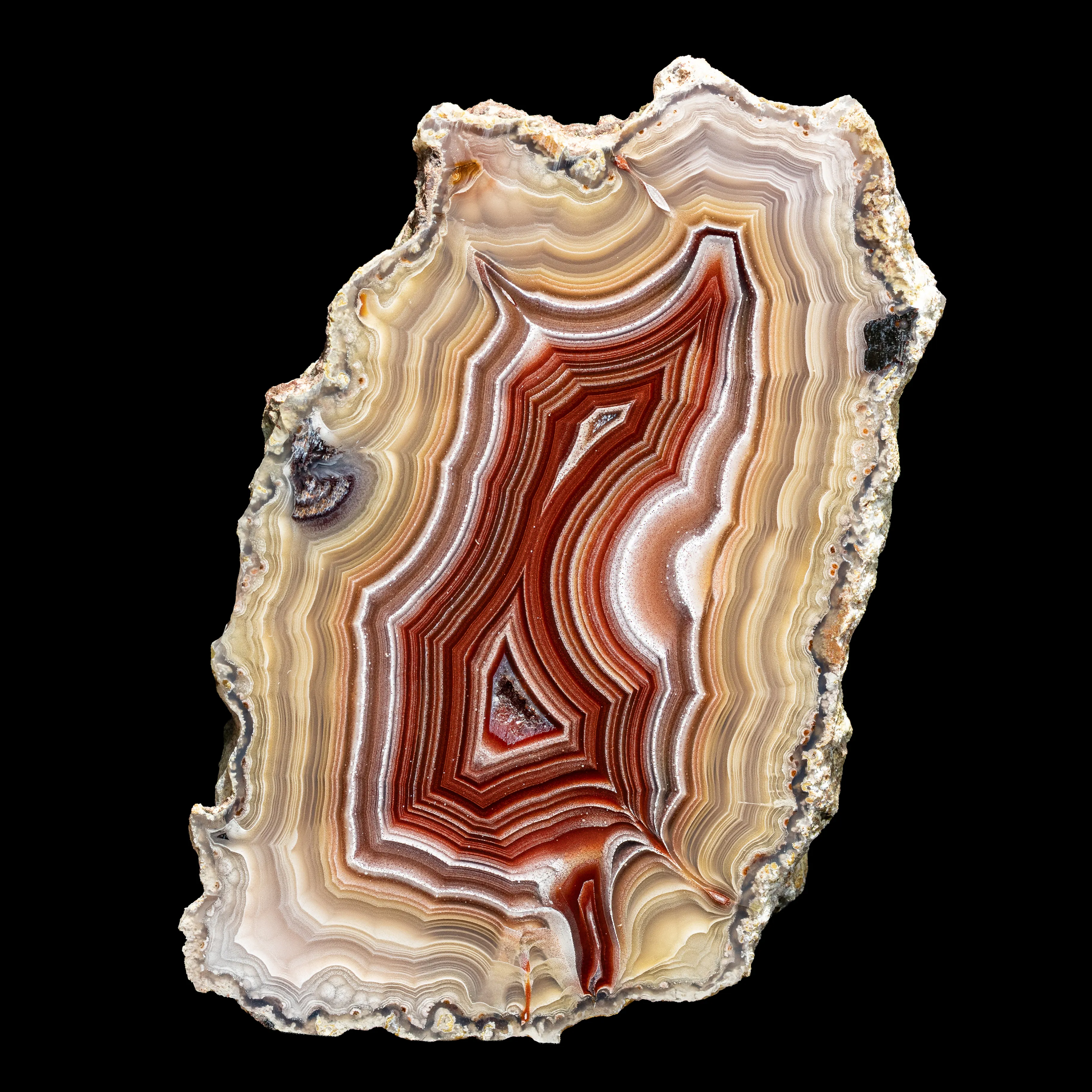 Agate from Mexico, Chihuahua, Estacion Ojo Laguna - image 6