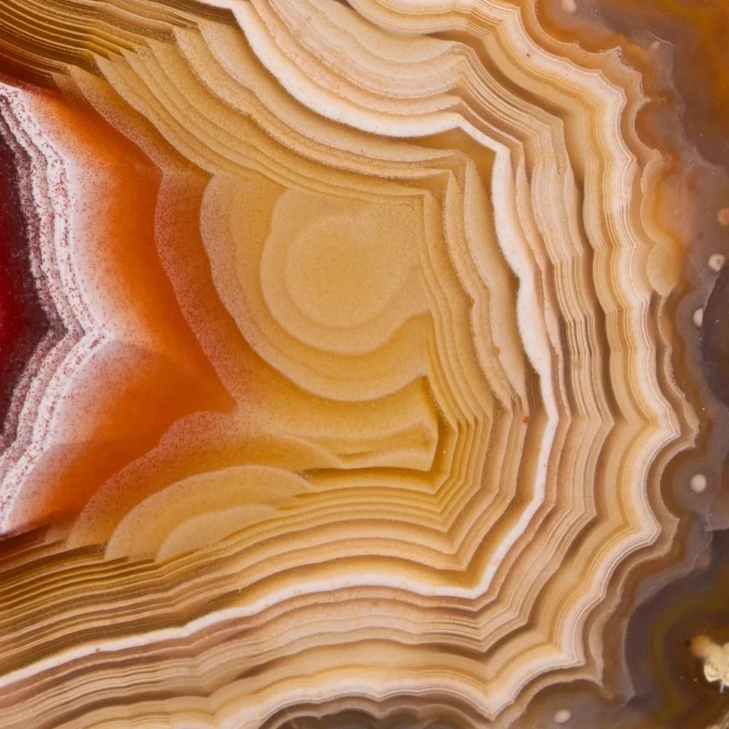 Agate from Mexico, Chihuahua, Estacion Ojo Laguna - image 4