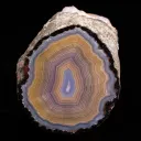 Agate from Mexico, Chihuahua, Rancho Coyamito Chihuahua - image 1