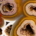 Agate from Mexico, Chihuahua, Rancho Coyamito Chihuahua - image 4