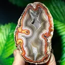 Agate from Mexico, Chihuahua, Rancho Coyamito Chihuahua - image 2