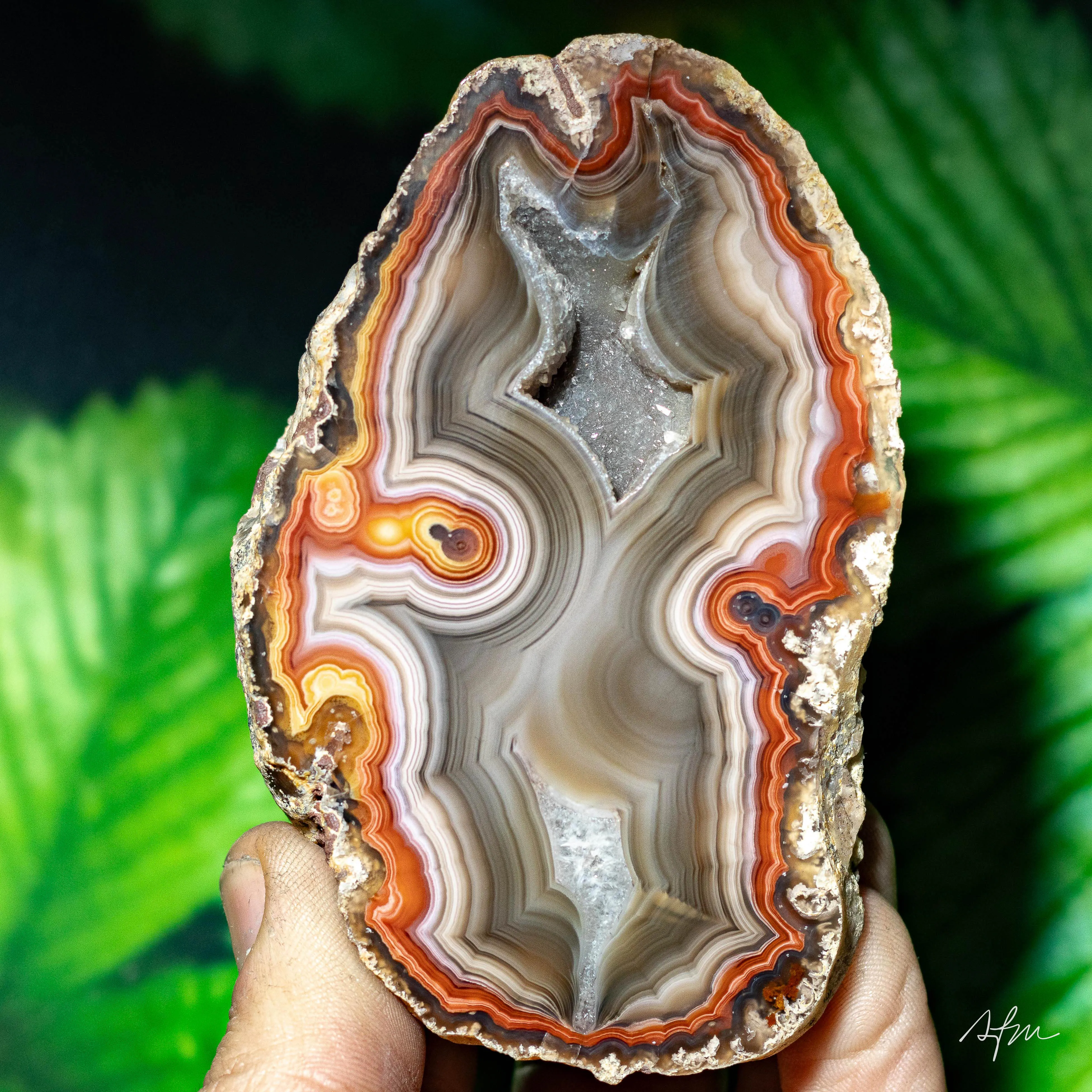Agate from Mexico, Chihuahua, Rancho Coyamito Chihuahua - image 2