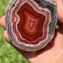 specimen video