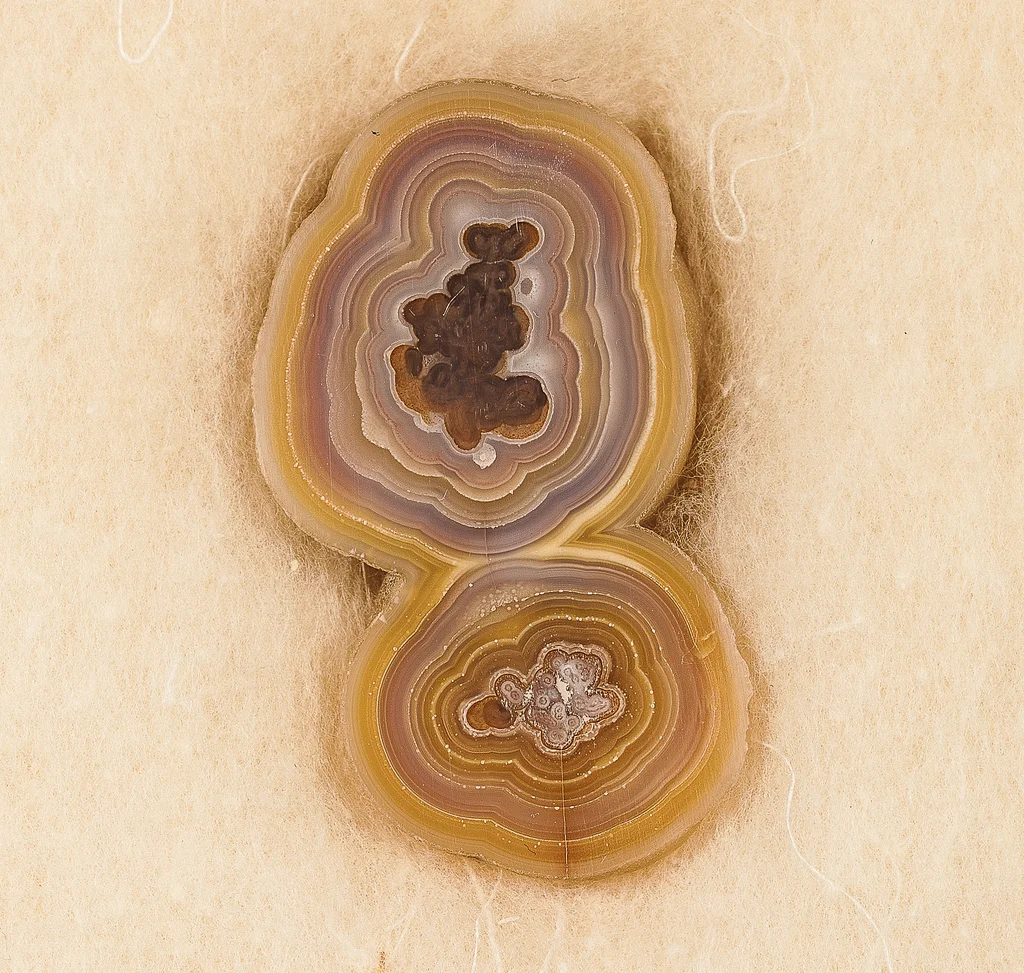 Agate from Rancho Coyamito Chihuahua, Chihuahua, Mexico - image 2