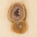 Agate from Rancho Coyamito Chihuahua, Chihuahua, Mexico - image 2