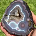 specimen video