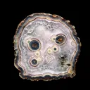 Agate from Rancho Coyamito Chihuahua, Chihuahua, Mexico - image 6