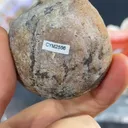 specimen video