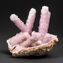 Agate from Rancho Coyamito Chihuahua, Chihuahua, Mexico - image 1
