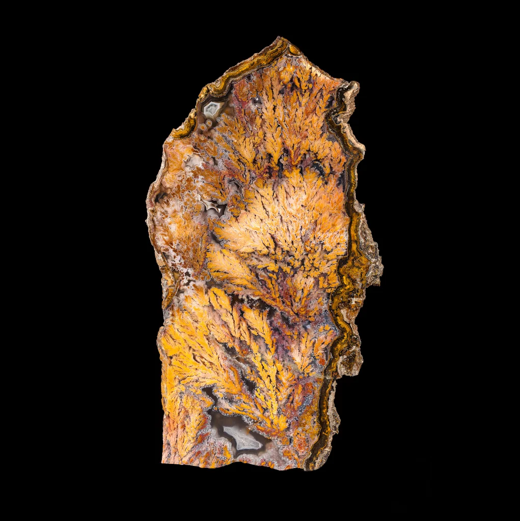 Agate from Texas, USA image