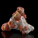 Agate Ps. Fossil Snails - image 2