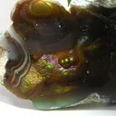 Agate (Var: Fire Agate) - image 2
