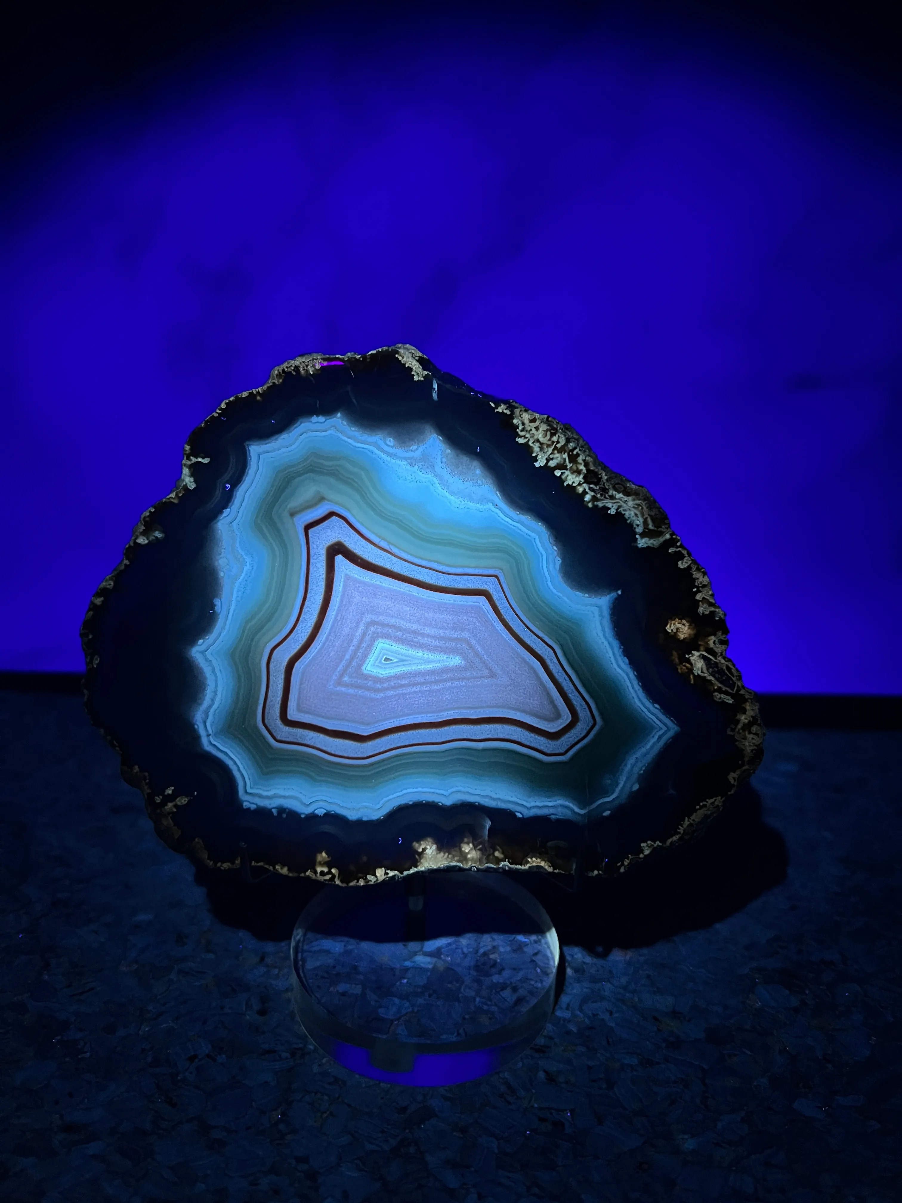 Agate var. Laguna Agate (Rainbow) - image 5