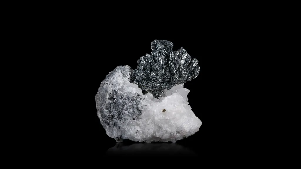 Aguilarite image