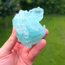 specimen video